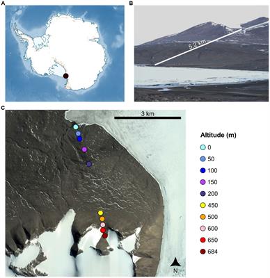 Microbial diversity in Antarctic Dry Valley soils across an altitudinal gradient